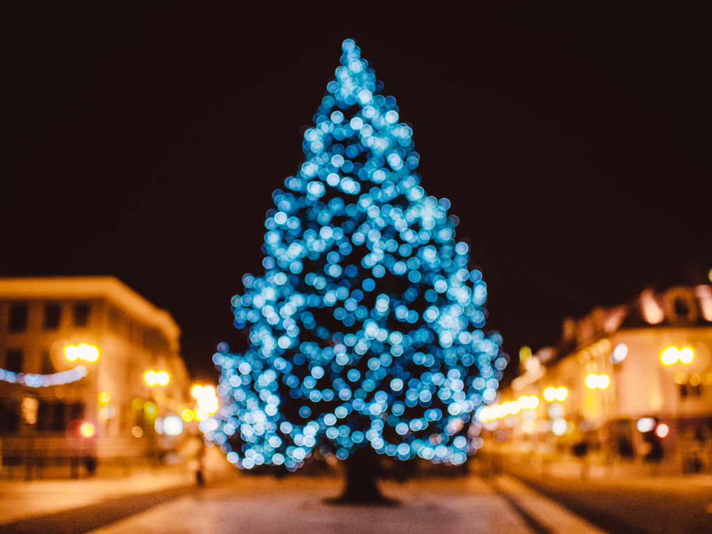 karácsony, fenyő, karácsonyfa
